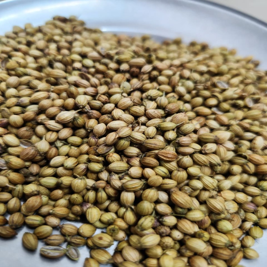 Coriander seeds